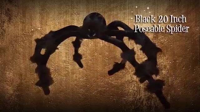 Add the finishing touch to your spooky haunted house with this black 20 inch poseable spider. This black 20 inch poseable spider is a must have Halloween decoration for any haunted house.